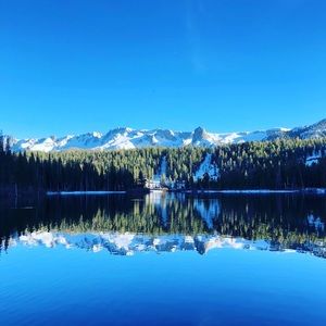 Meet your Posher, Anissa